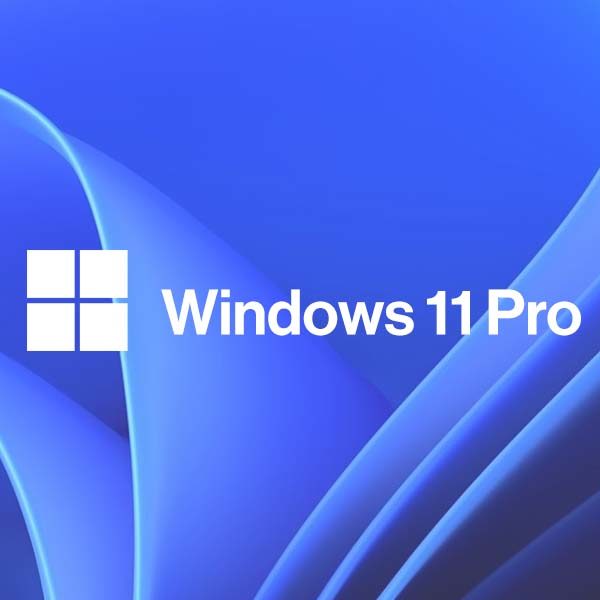 Windows 11 Pro