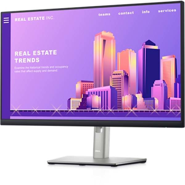 Dell 24 Monitor: P2422H